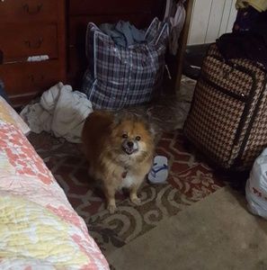 Meet your Posher, Malin